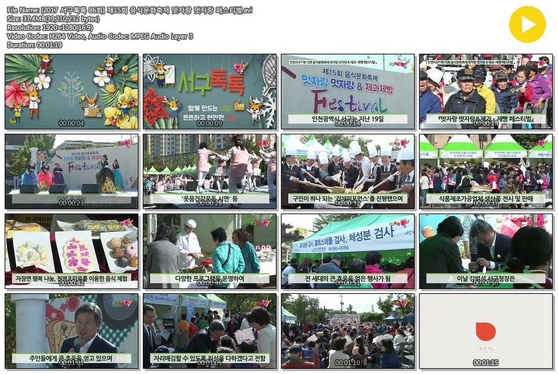 [2017 서구톡톡 86회] 제15회 음식문화축제 맛자랑 멋자랑 페스티벌 사진
